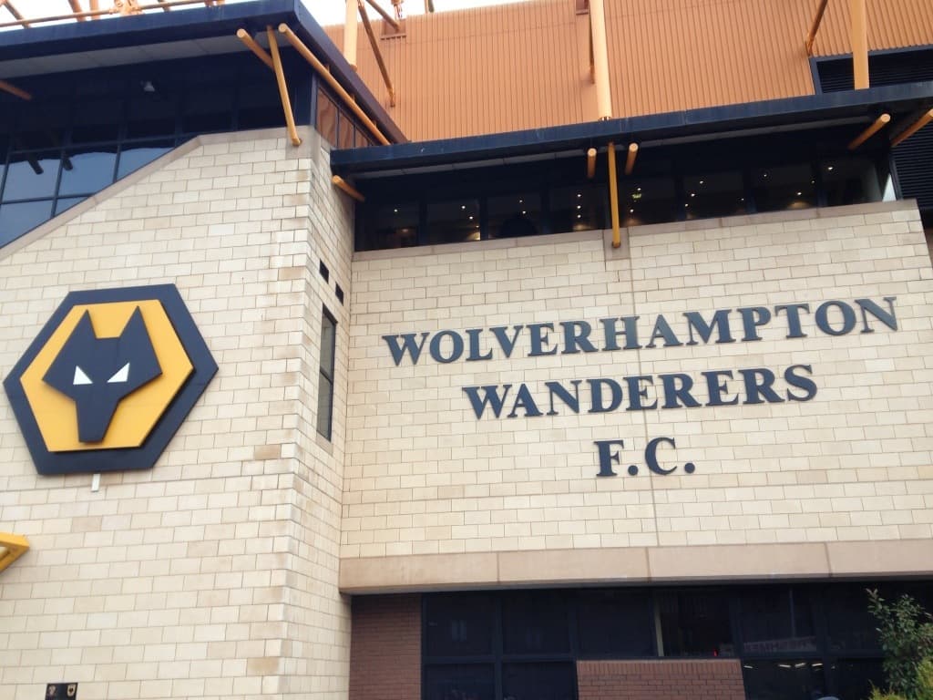 Why This Bee Won’t Get Mugged Off By A Wolves Fan!