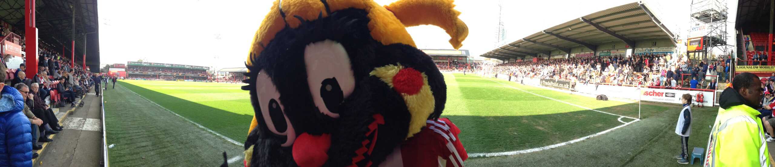 Bees Refuse To Be Cut Down By Forest – Brentford 2 NFFC 2 (VIDEO)